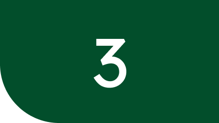 Step 3: Getting to know each other