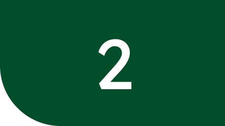 Step 2: Review & feedback